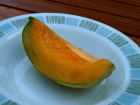 Melon Slice