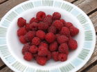 Raspberries